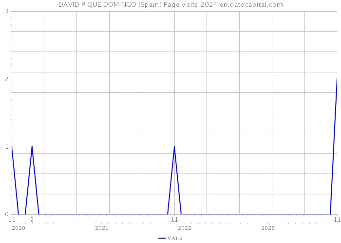 DAVID PIQUE DOMINGO (Spain) Page visits 2024 