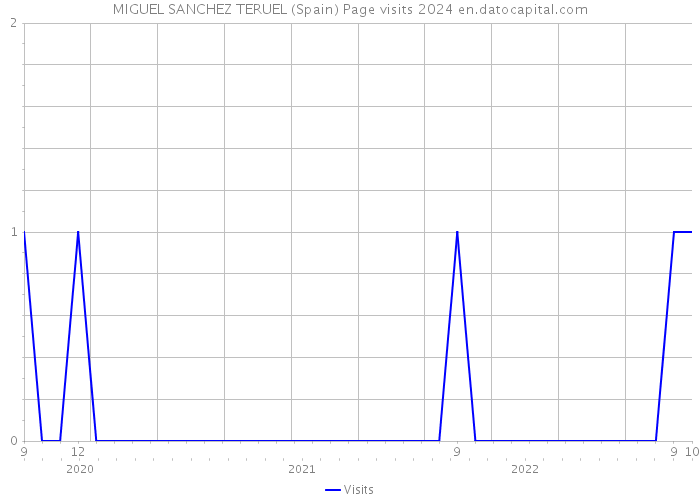 MIGUEL SANCHEZ TERUEL (Spain) Page visits 2024 