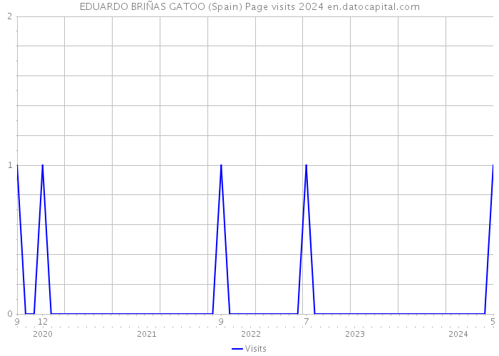 EDUARDO BRIÑAS GATOO (Spain) Page visits 2024 