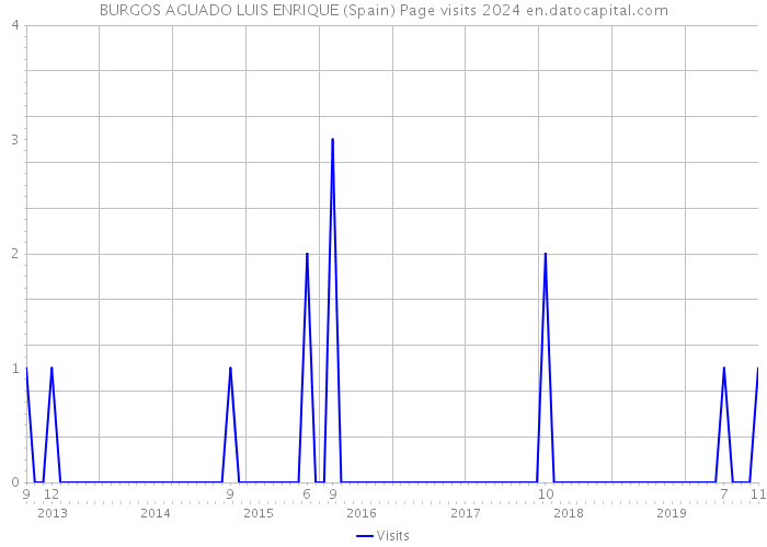 BURGOS AGUADO LUIS ENRIQUE (Spain) Page visits 2024 
