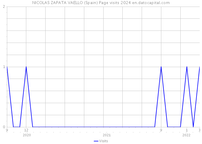 NICOLAS ZAPATA VAELLO (Spain) Page visits 2024 