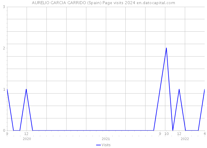 AURELIO GARCIA GARRIDO (Spain) Page visits 2024 