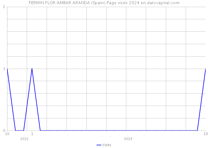 FERMIN FLOR AMBAR ARANDA (Spain) Page visits 2024 