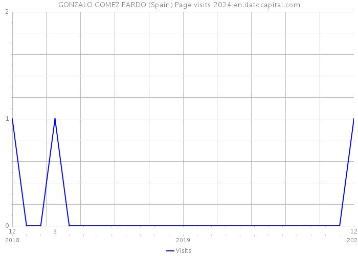 GONZALO GOMEZ PARDO (Spain) Page visits 2024 