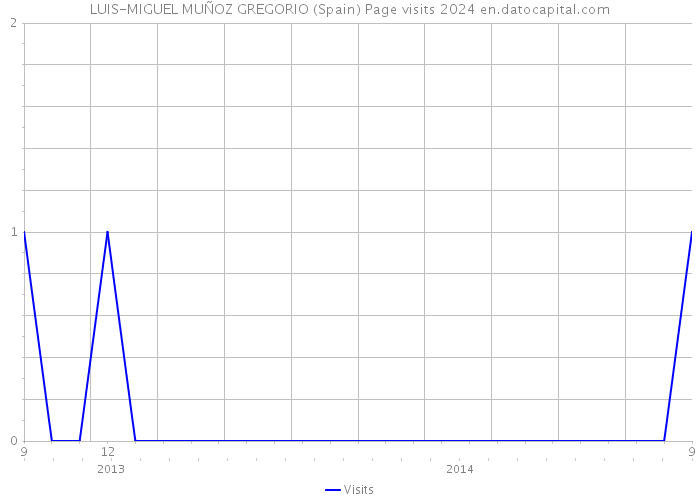 LUIS-MIGUEL MUÑOZ GREGORIO (Spain) Page visits 2024 