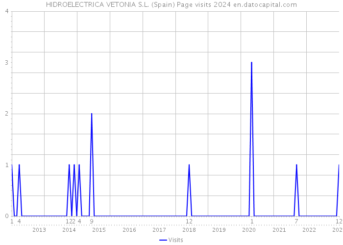 HIDROELECTRICA VETONIA S.L. (Spain) Page visits 2024 