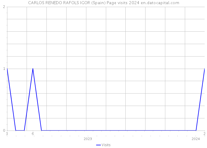 CARLOS RENEDO RAFOLS IGOR (Spain) Page visits 2024 