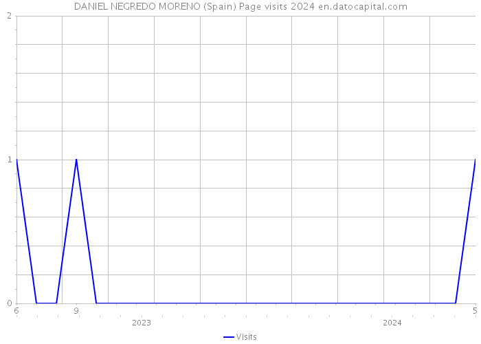 DANIEL NEGREDO MORENO (Spain) Page visits 2024 