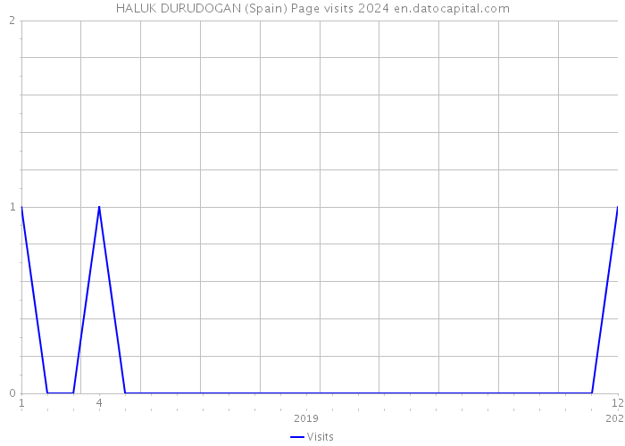 HALUK DURUDOGAN (Spain) Page visits 2024 