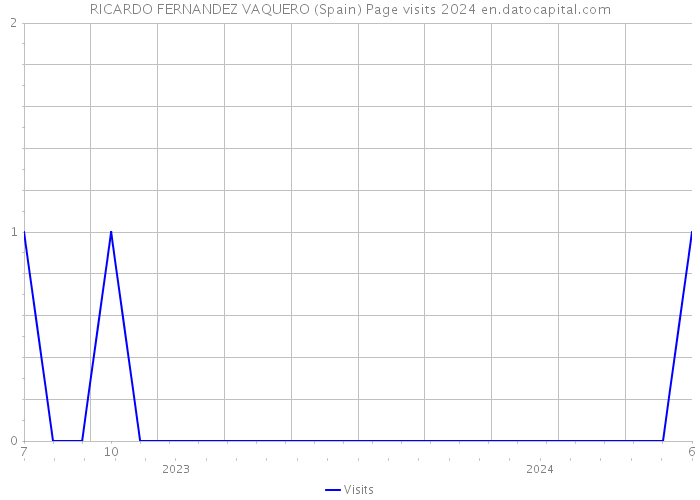 RICARDO FERNANDEZ VAQUERO (Spain) Page visits 2024 