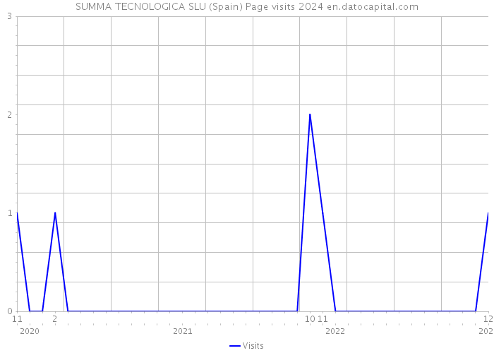 SUMMA TECNOLOGICA SLU (Spain) Page visits 2024 