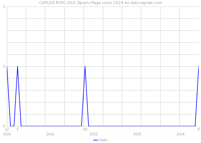 CARLOS ROIG VILA (Spain) Page visits 2024 