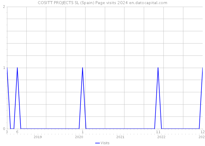 COSITT PROJECTS SL (Spain) Page visits 2024 