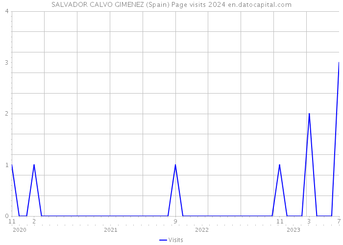 SALVADOR CALVO GIMENEZ (Spain) Page visits 2024 