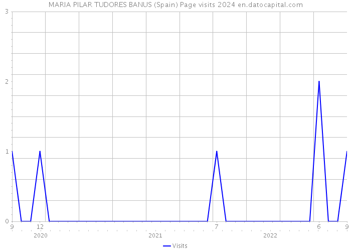 MARIA PILAR TUDORES BANUS (Spain) Page visits 2024 