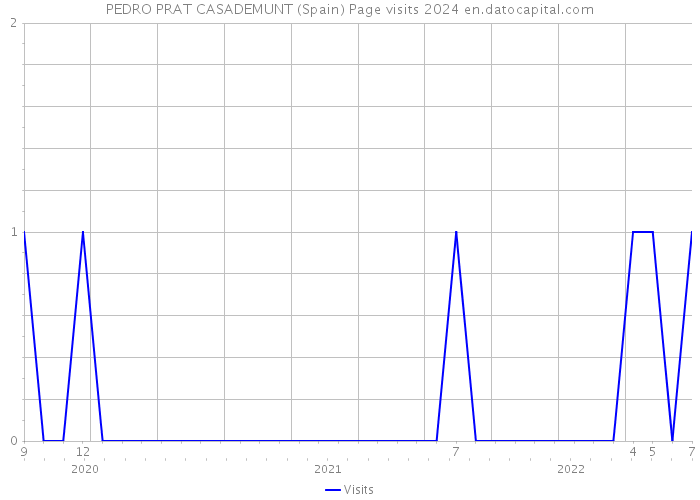 PEDRO PRAT CASADEMUNT (Spain) Page visits 2024 