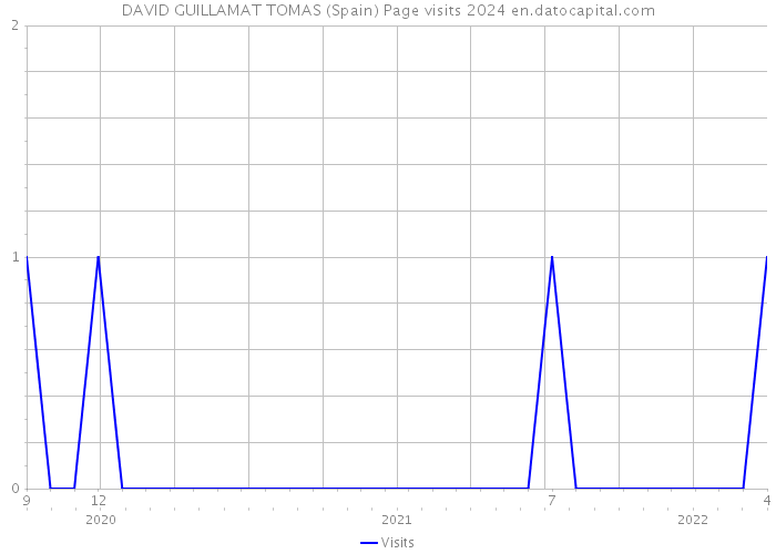 DAVID GUILLAMAT TOMAS (Spain) Page visits 2024 