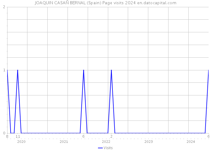 JOAQUIN CASAÑ BERNAL (Spain) Page visits 2024 