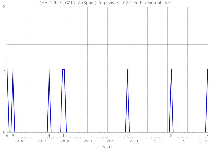 DAVID PINEL GARCIA (Spain) Page visits 2024 