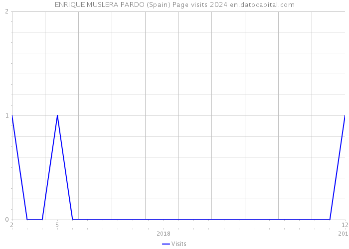 ENRIQUE MUSLERA PARDO (Spain) Page visits 2024 