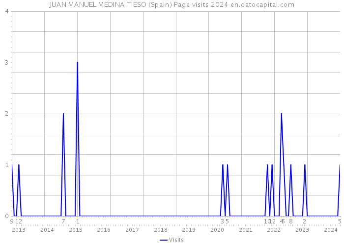 JUAN MANUEL MEDINA TIESO (Spain) Page visits 2024 