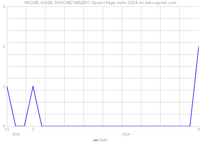 MIGUEL ANGEL SANCHEZ MELERO (Spain) Page visits 2024 