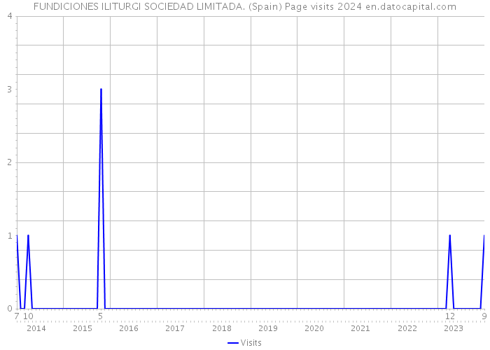 FUNDICIONES ILITURGI SOCIEDAD LIMITADA. (Spain) Page visits 2024 