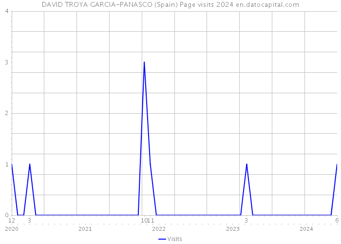 DAVID TROYA GARCIA-PANASCO (Spain) Page visits 2024 