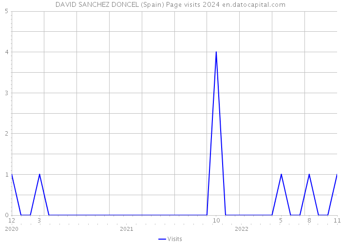 DAVID SANCHEZ DONCEL (Spain) Page visits 2024 