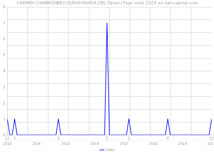 CARMEN CAMBRONERO DURAN MARIA DEL (Spain) Page visits 2024 