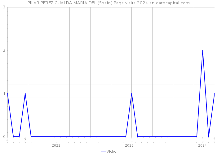 PILAR PEREZ GUALDA MARIA DEL (Spain) Page visits 2024 