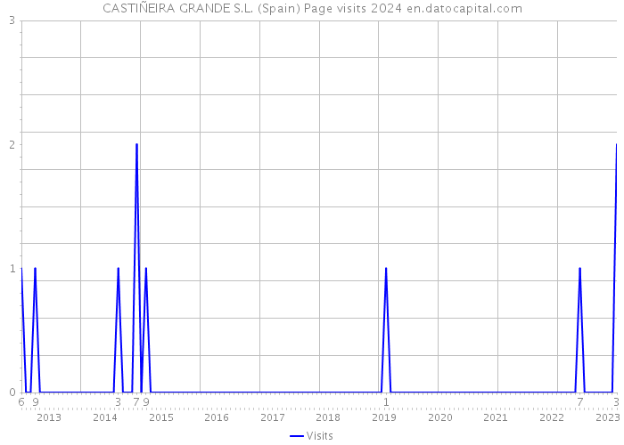CASTIÑEIRA GRANDE S.L. (Spain) Page visits 2024 