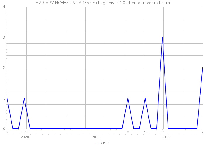 MARIA SANCHEZ TAPIA (Spain) Page visits 2024 