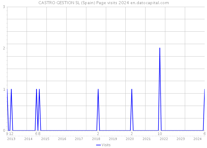 CASTRO GESTION SL (Spain) Page visits 2024 