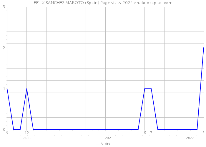 FELIX SANCHEZ MAROTO (Spain) Page visits 2024 