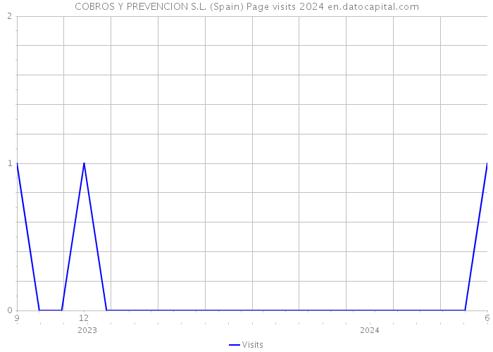 COBROS Y PREVENCION S.L. (Spain) Page visits 2024 