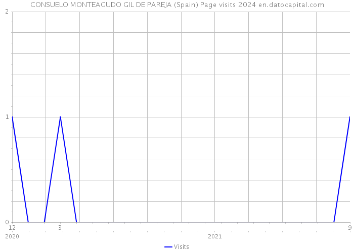 CONSUELO MONTEAGUDO GIL DE PAREJA (Spain) Page visits 2024 