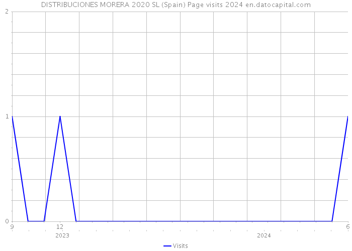 DISTRIBUCIONES MORERA 2020 SL (Spain) Page visits 2024 