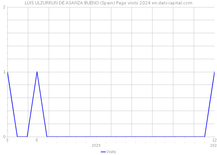 LUIS ULZURRUN DE ASANZA BUENO (Spain) Page visits 2024 