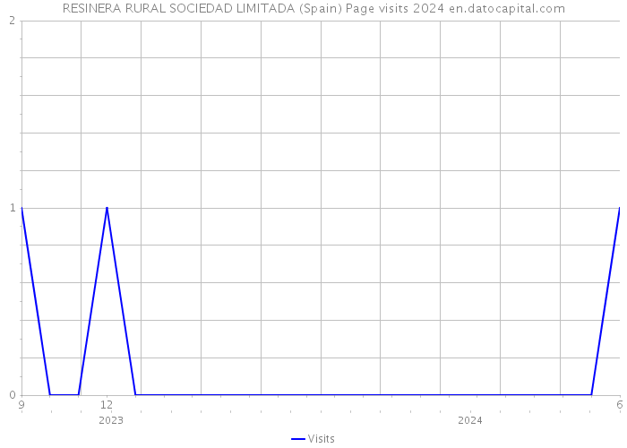 RESINERA RURAL SOCIEDAD LIMITADA (Spain) Page visits 2024 