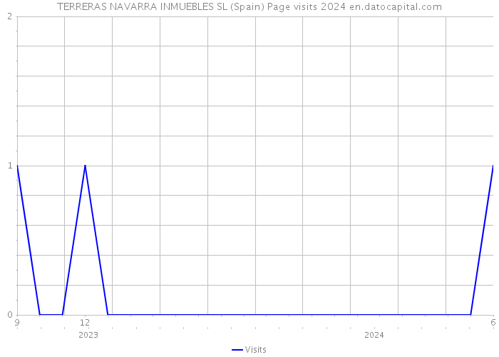 TERRERAS NAVARRA INMUEBLES SL (Spain) Page visits 2024 