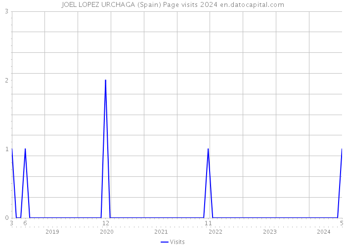 JOEL LOPEZ URCHAGA (Spain) Page visits 2024 