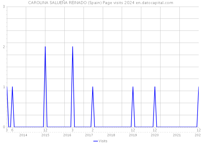 CAROLINA SALUEÑA REINADO (Spain) Page visits 2024 