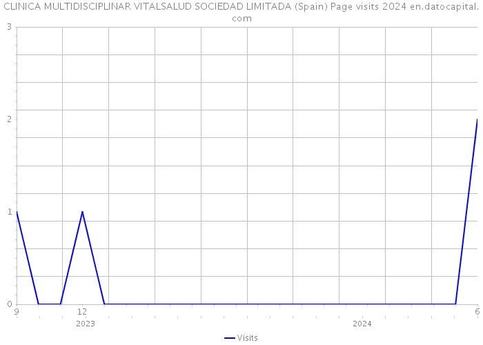 CLINICA MULTIDISCIPLINAR VITALSALUD SOCIEDAD LIMITADA (Spain) Page visits 2024 