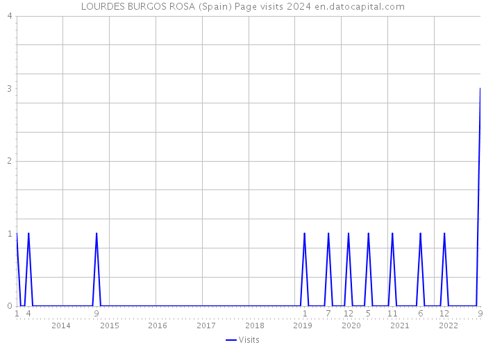 LOURDES BURGOS ROSA (Spain) Page visits 2024 