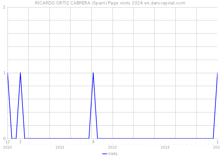 RICARDO ORTIZ CABRERA (Spain) Page visits 2024 