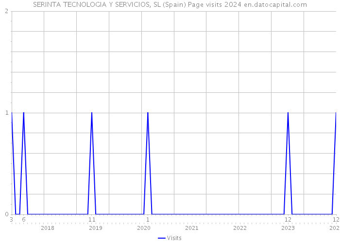 SERINTA TECNOLOGIA Y SERVICIOS, SL (Spain) Page visits 2024 