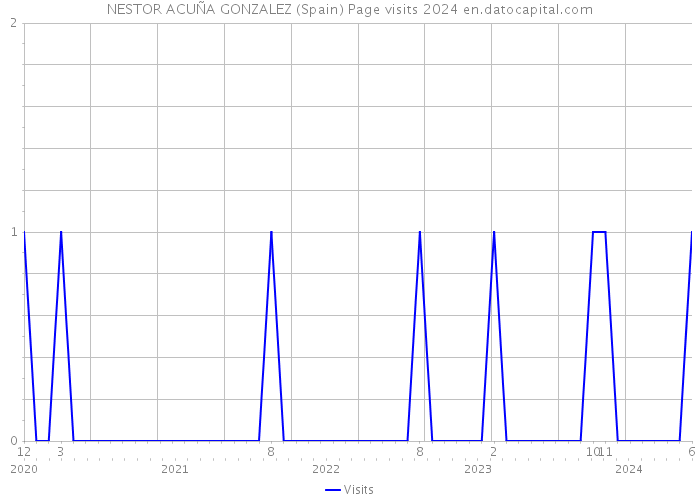 NESTOR ACUÑA GONZALEZ (Spain) Page visits 2024 