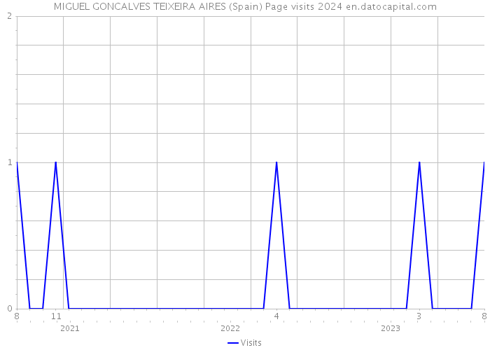 MIGUEL GONCALVES TEIXEIRA AIRES (Spain) Page visits 2024 
