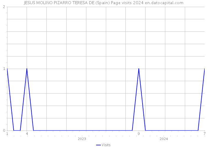 JESUS MOLINO PIZARRO TERESA DE (Spain) Page visits 2024 